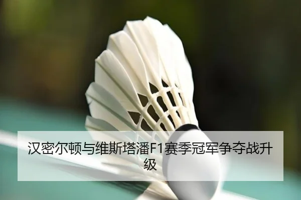 汉密尔顿与维斯塔潘F1赛季冠军争夺战升级